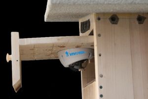 IP-камери Vivotek допомагають зберегти популяцію рідкісного виду соколів