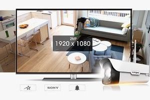 Новая IP-камера видеонаблюдения от компании Longse оснащена светозвуковой сиреной