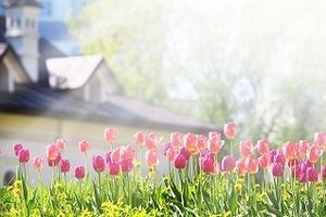 Уезжаете на праздники? Позаботьтесь о безопасности своего дома