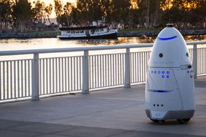 В мире растет спрос на роботов-охранников