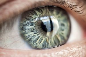 7 речей, які ви повинні знати про системи розпізнавання райдужної оболонки очей