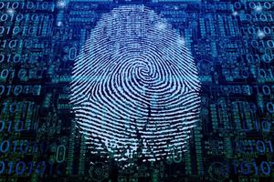 Преимущества использования биометрической идентификации в бизнесе
