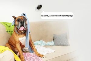 Розумні відеокамери: кращі функції для вашої безпеки