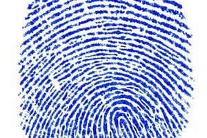 Исследование: индийский рынок биометрических систем аутентификации на основе отпечатков пальцев будет ежегодно расти на 35,1%