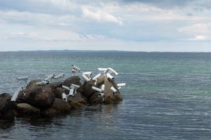 Підвищення безпеки без зайвих витрат