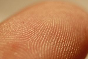 Як працює технологія розпізнавання відбитків пальців?