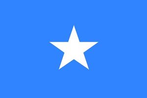 Всесвітній банк звертається до систем біометрії, щоб допомогти відновленню Сомалі