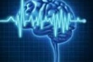 Вчені кажуть: мозкові хвилі людини можуть служити посвідченням особи
