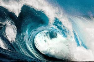 Вчені знайшли порятунок від цунамі
