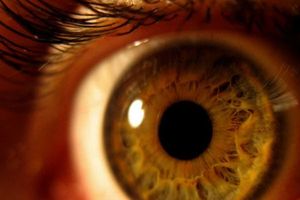 Дослідницька компанія пророкує широке використання технології сканування райдужної оболонки очей